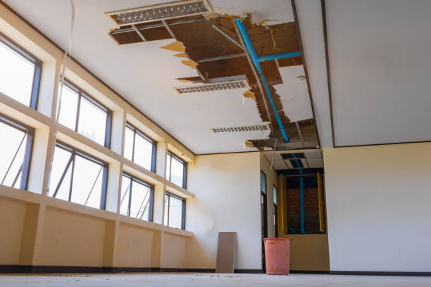 Best Fire Damage Restoration  in Levittown, PA