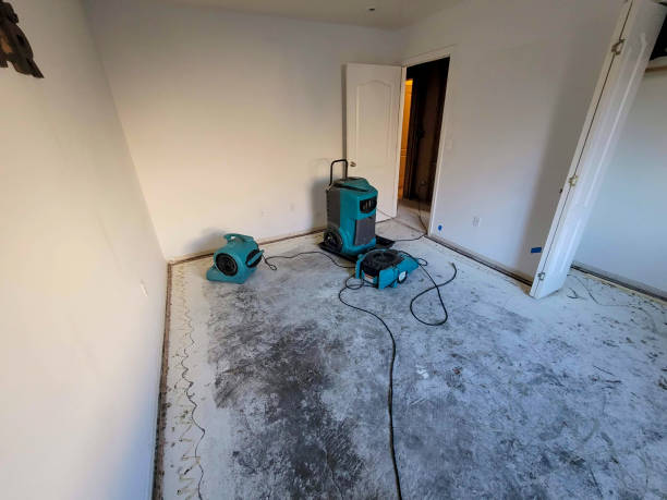 Best Water damage restoration near me  in Levittown, PA