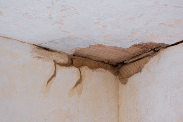 Best Flood restoration services  in Levittown, PA