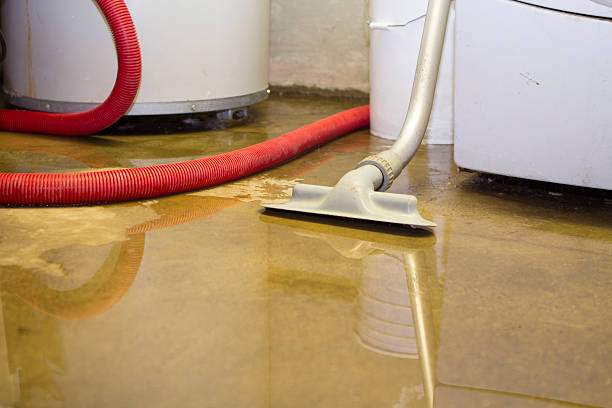 Best Local water damage restoration  in Levittown, PA