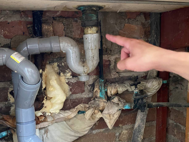 Best Ceiling water damage repair  in Levittown, PA