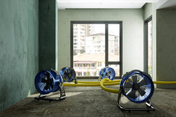 Sewage cleanup and water damage restoration in Levittown, PA